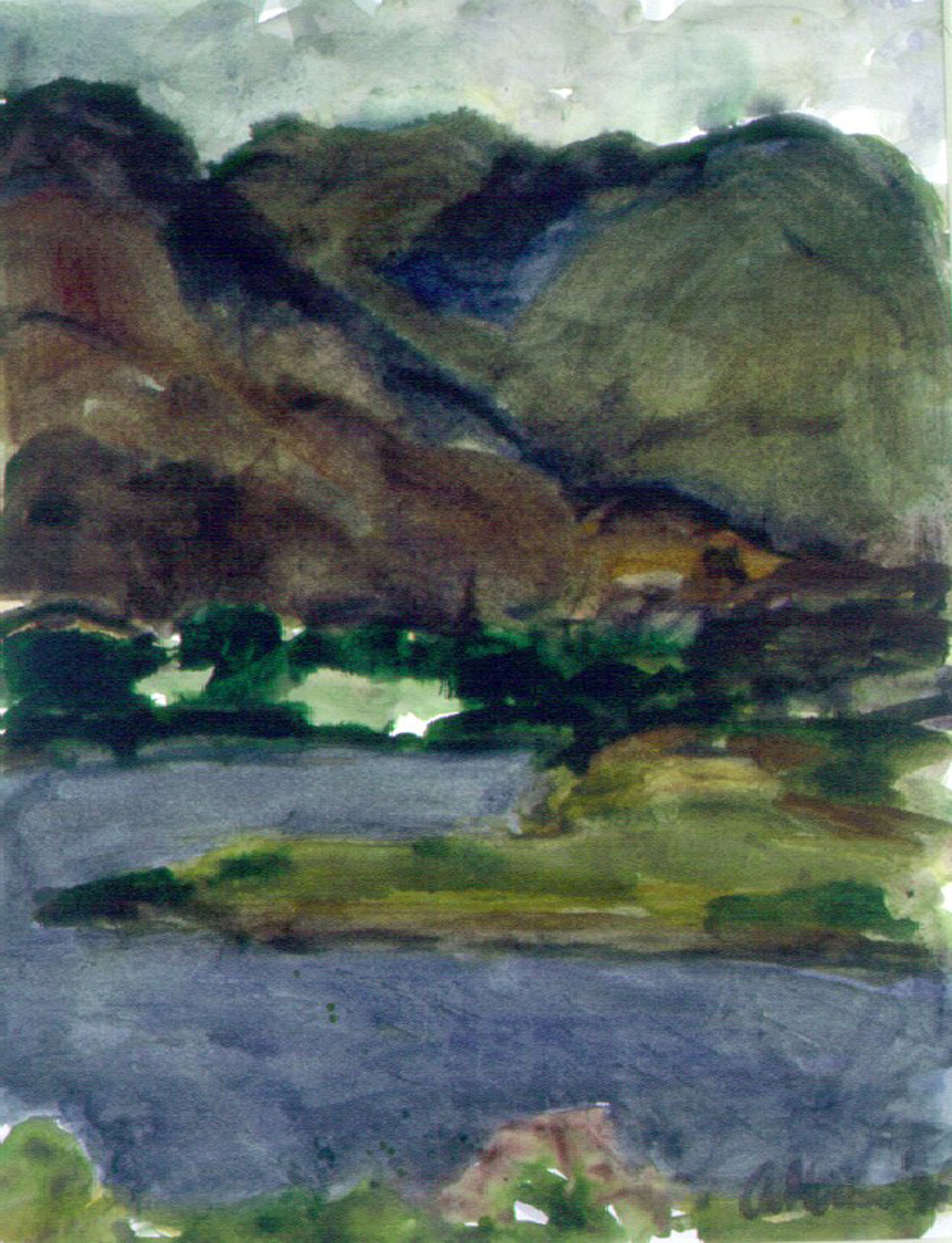 Ger Meinema - Beeldend kunstenaar -Ierland - Acryl op papier - 35x45, 1999
