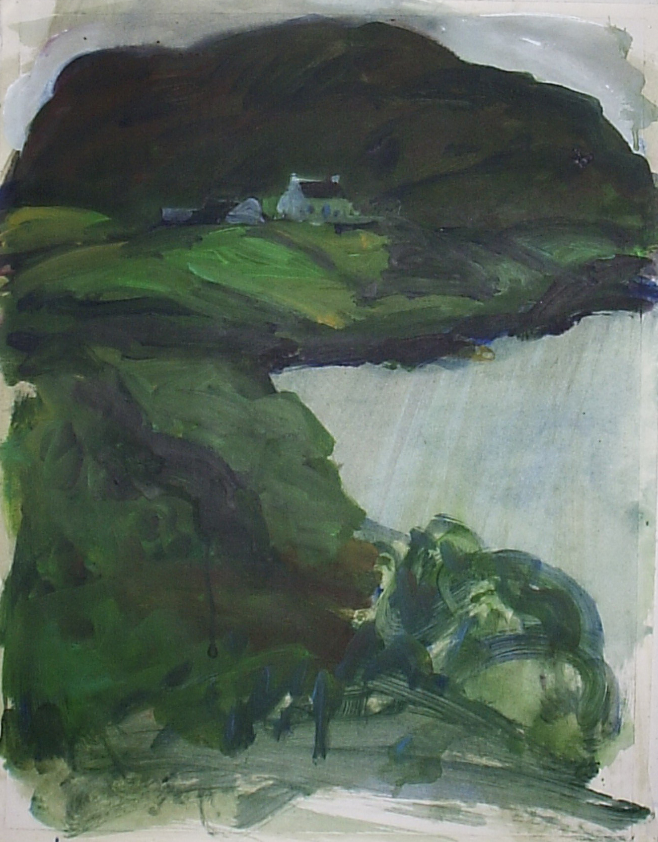 Ger Meinema - Beeldend kunstenaar - Ierland - Acryl op papier - 40x48, 1999